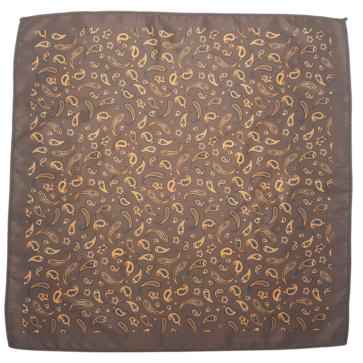 Mini Paisley Pocket Square