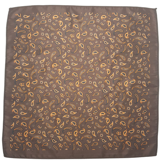 Mini Paisley Pocket Square